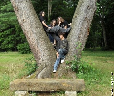 Photo en vrac sur un arbre