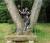 Photo en vrac sur un arbre